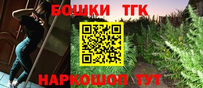 стафф Новодвинск