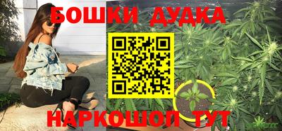 скорость Новокубанск