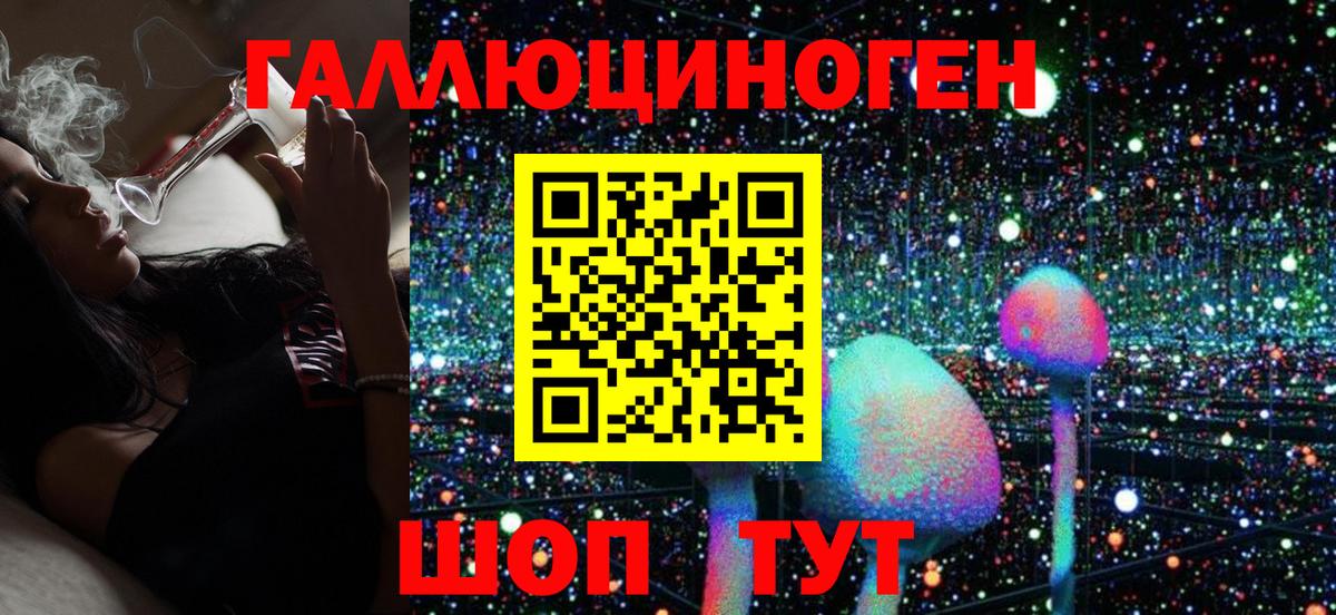 Псилоцибиновые грибы мицелий Саяногорск