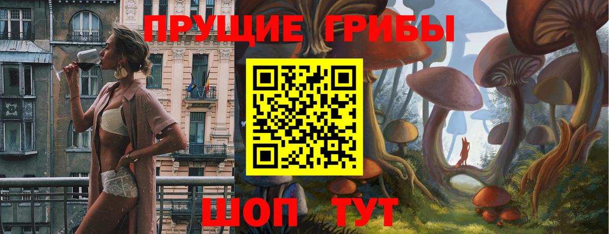 Саяногорск  Псилоцибиновые грибы Psilocybine cubensis  Вход с VPN 